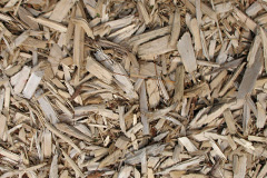 biomass boilers Wykin